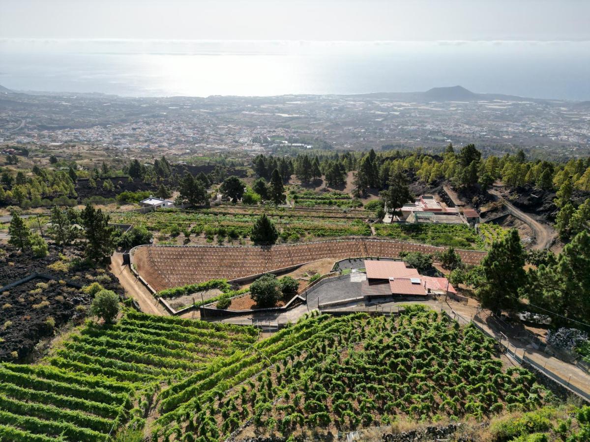 Finca Ecologica Ferrera. Alojamiento Rural. Arafo Buitenkant foto